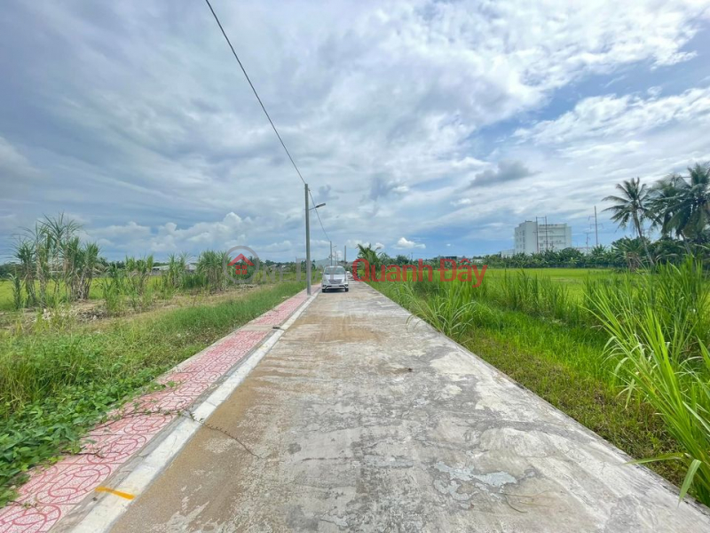 The land is located on the main road of Phu Duc, Long Ho, Vinh Long. Sales Listings