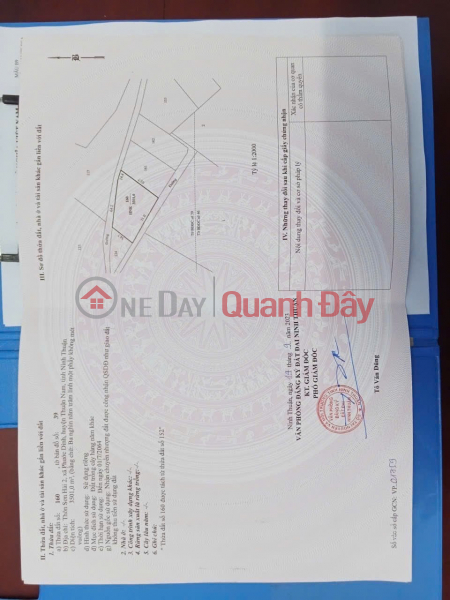 Land for sale in Son Hai 2 Hamlet, Phuoc Dinh Commune, Thuan Nam District, Ninh Thuan Province. Sales Listings