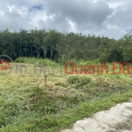 SELL URGENTLY!!!! OWNER NEEDS TO SELL 5 METERS OF LAND, Concrete Road, Tan Khai Town _0