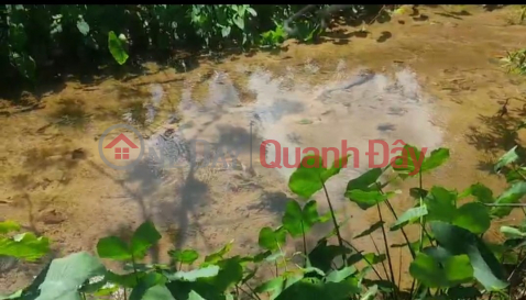 BEAUTIFUL LAND - GOOD PRICE - For Quick Sale Land Lot Prime Location In Phuoc Chinh Commune, Bac Ai, Ninh Thuan _0