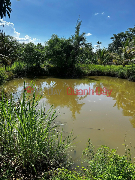 đ 1,98 tỷ | ĐẤT ĐẸP – GIÁ TỐT – CHÍNH CHỦ CẦN BÁN GẤP ĐẤT Tại Chợ Quỳnh Ngọc , Xã Ea Na, Đắk Lắk