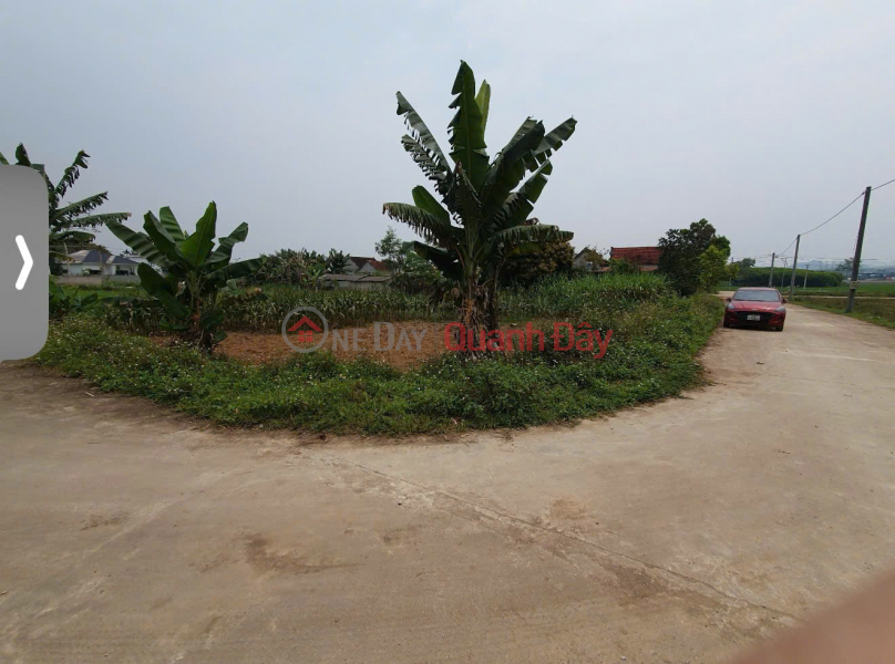 Property Search Vietnam | OneDay | Nhà ở Niêm yết bán | NGÂN HÀNG ĐẤU GIÁ TẠI XÃ ĐÔNG HIẾU, NGHỆ AN GIÁ 2.565 TỶ- Thị xã Thái Hòa, Nghệ An cũ