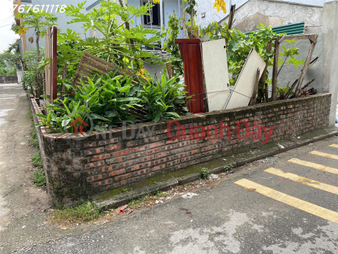 Rare, Giang Bien land for sale, car-free, corner lot, close to street, square A4, 60m2, frontage 5m2, 5.8 billion _0