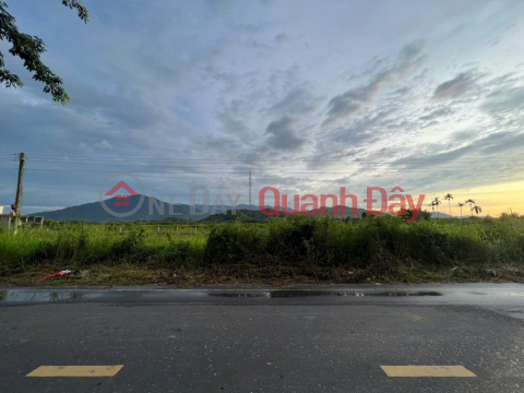 OWNER SELLS LAND ON THE STREET IN Diên Thọ COMMUNE, Diên Khánh, Khánh Hòa _0