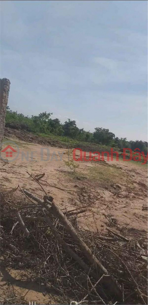 BEAUTIFUL LAND - GOOD PRICE - FOR SALE LOT OF LAND Beautiful Location In Phuoc Thai Commune, Ninh Phuoc District, Ninh Thuan Sales Listings