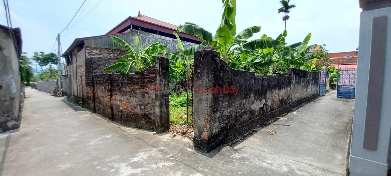 Property Search Vietnam | OneDay | Residential, Sales Listings, Land plot for sale in Dai Hung My Duc, Hanoi, 150m, about 500m from Highway 419, near shopping center.