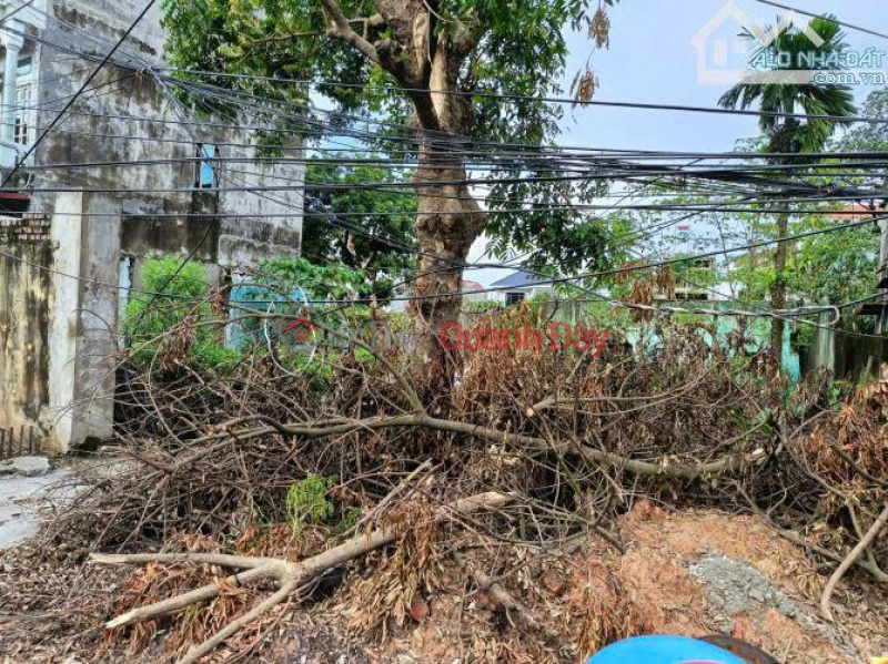 Property Search Vietnam | OneDay | Residential Sales Listings Land for sale next to Highway 36 extension, Bang An, Que Vo, Bac Ninh