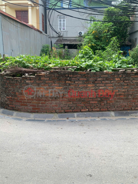 OWNER'S LAND Need to Sell Quickly Beautiful Land Lot Location At the Gate of Vong La Fishing Village, Dong Anh District, Hanoi City Sales Listings