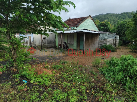 BEAUTIFUL LAND - GOOD PRICE - For Quick Sale LAND LOT In Son Hoa District - Phu Yen Province _0