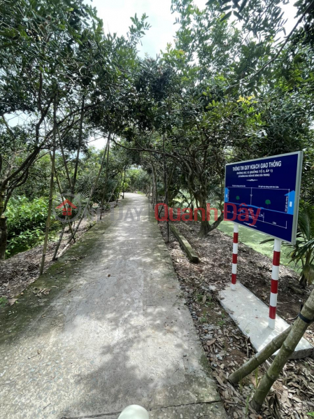 PRIMARY LAND - Land Lot for Quick Sale in Tam Hiep Commune, Binh Dai District, Ben Tre | Vietnam | Rental | đ 7.2 Billion/ month