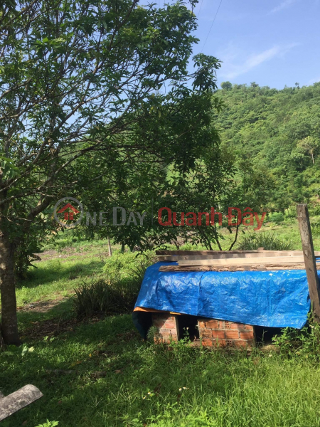 Property Search Vietnam | OneDay | Residential, Sales Listings, Own a Beautiful House Right away in a Prime Location in Quang Nam - Extremely Cheap