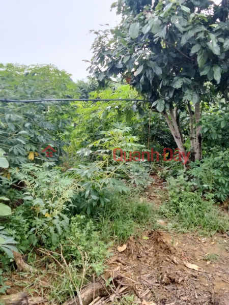 OWNER SELLS BEAUTIFUL LAND LOT OF 2920.3M IN TU SON-KIM BOI HOA BINH | Vietnam | Sales | đ 10 Million