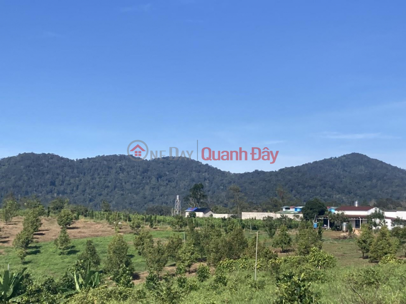 Property Search Vietnam | OneDay | Residential | Sales Listings, Beautiful Land - Good Price - Owner Needs to Sell Land Plot, Beautiful Location, Bla Bao Commune, Lam Dong