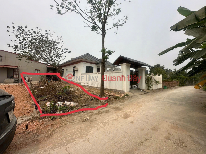 Property Search Vietnam | OneDay | Nhà ở Niêm yết bán, Đất 2 mặt đường Phú Ninh, Hội Thịnh - 106,7m2 ô tô tránh, sổ đỏ chính chủ chỉ 1,65 tỷ