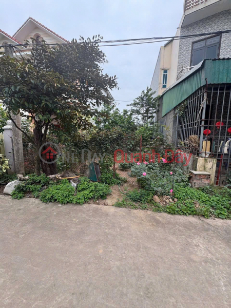 Gia đình cần bán miếng đất đấu giá khu ao sau Phùng Nguyên, Phú Thọ Niêm yết bán