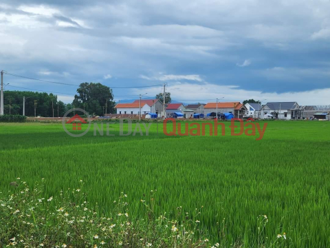 My Hiep Phu My Commune - Land for sale in Dai Son village. Beautiful location adjacent to National Highway 1A and western provincial road DT638, _0