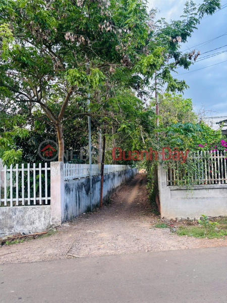 Property Search Vietnam | OneDay | Residential Sales Listings, PRIME LAND – GREAT PRICE, URGENT SALE BY OWNER in Lang Minh Commune, Xuan Loc District, Dong Nai Province