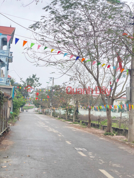 Property Search Vietnam | OneDay | Residential | Sales Listings | The owner needs to sell a plot of land in Dong Tam commune - My Duc, square and round land of 50m2