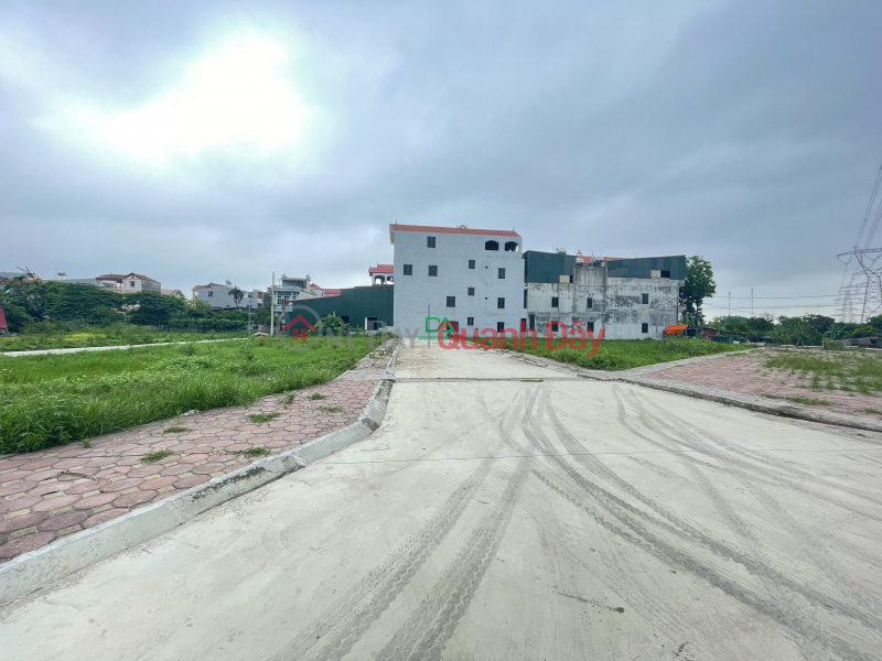 Property Search Vietnam | OneDay | Nhà ở | Niêm yết bán | Bán đất đấu giá thôn Đình Tràng xã Dục Tú huyện Đông Anh mặt đường kinh doanh rộng 20m