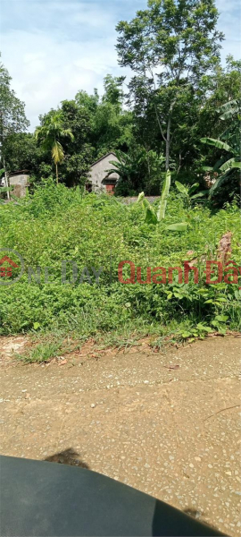 ₫ 360 Million, OWNER Needs to Sell Land LOT Quickly In Dinh Hung Commune, Yen Dinh District, Thanh Hoa Province.