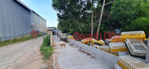 CHÍNH CHỦ CẦN BÁN 12.000M² ĐẤT TẠI ĐẶC KHU PHÚ QUỐC – ĐÓN SÓNG APEC 2027 _0