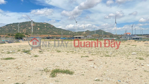 OWNER NEEDS TO SELL LAND LOT QUICKLY, Beautiful Location In Ham Thuan Nam District - Ninh Thuan Province _0