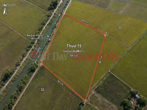 OWNER SELLING 6,246M2 OF LAND WITH READY TITLE DEED NEAR PROVINCIAL ROAD 786, BEN CAU. _0