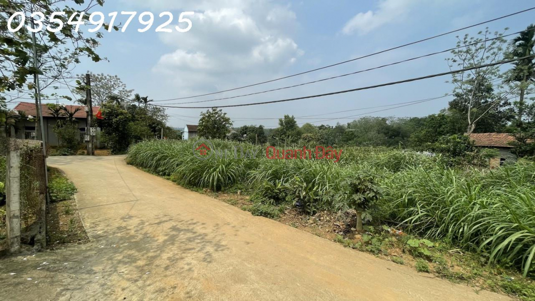 TRANSFER OF 878M2, 300 LAND IN CLN FOR 2.46 BILLION DY VILLAGE, MINH QUANG, BA VI, HANOI Sales Listings