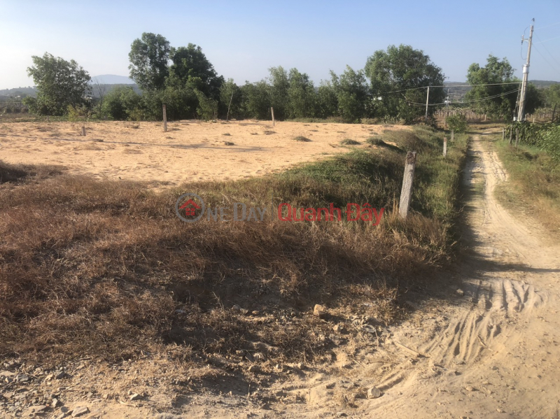 Property Search Vietnam | OneDay | Residential | Sales Listings The owner needs to sell commercial and service land, Hon Lan street, Tan Thanh commune, Ham Thuan Nam, Binh Thuan