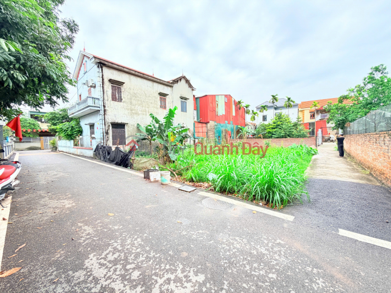 WANT TO SELL 95M² OF LAND IN TRUNG CHAU B, LIEN MINH, HANOI Vietnam, Sales | đ 4.3 Billion