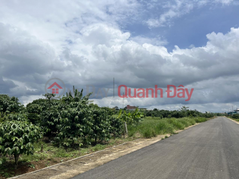 Land FOR SALE URGENTLY In Loc Phat Ward - Bao Loc City, Lam Dong Province _0