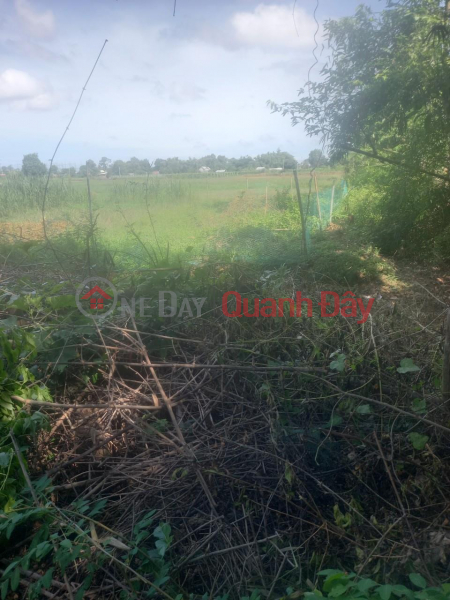 Property Search Vietnam | OneDay | Residential Sales Listings, OWNER Urgently Needs To Sell Land Plot At Soc Ot Hamlet, Ngu Lac Commune, Duyen Hai, Tra Vinh