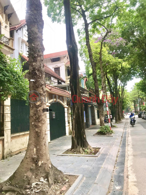 Chính chủ nhờ bán Biệt Thự Thọ Tháp 145m2, sổ đỏ chính chủ đang cất két, giá thương lượng có ra lộc. _0