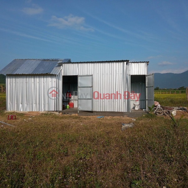 Bán gấp trang trại có suối lớn Ninh tây Việt Nam | Bán, đ 4,1 tỷ