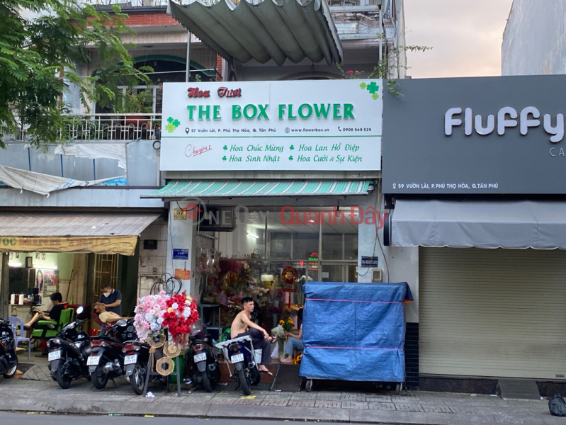 The Box Flower - 57 Vuon Lai (The Box Flower - 57 Vườn Lài),Tan Phu | (3)