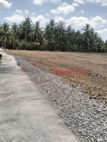 Property Search Vietnam | OneDay | Residential | Sales Listings Owner Urgently Sells 11 Lots of Land in Phu Quy Hamlet, Vinh Huu Commune, Go Cong Tay, Tien Giang