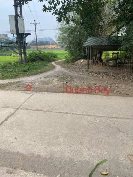 đ 1.17 Billion | RARE LAND PLOT FOR SALE - 293M² LOCATED 500M FROM THE HO CHI MINH CITY HIGHWAY – Vai Village, Lac Thuy District, Hoa Binh Province