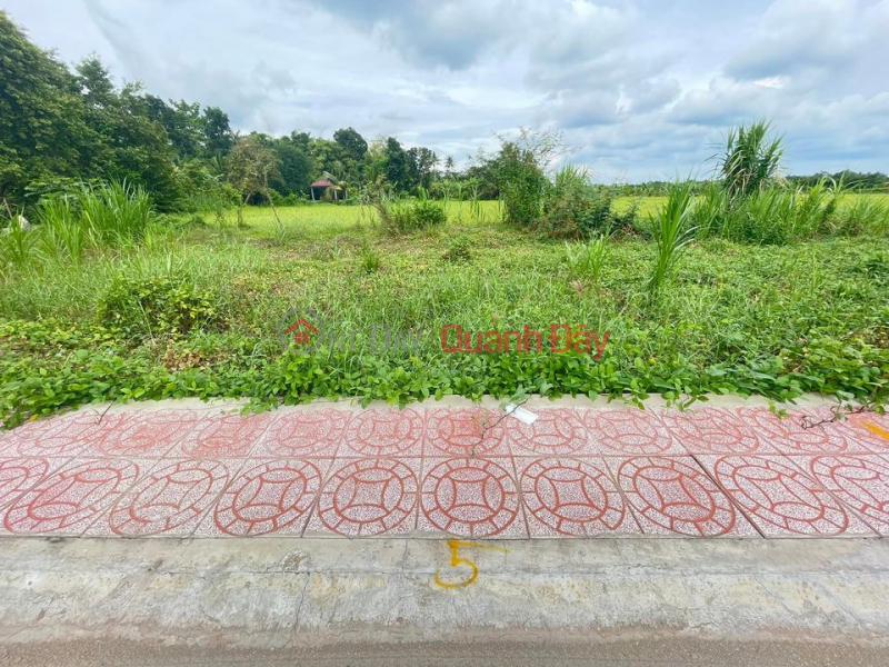 The land is located on the main road of Phu Duc, Long Ho, Vinh Long. Vietnam, Sales, ₫ 640 Million