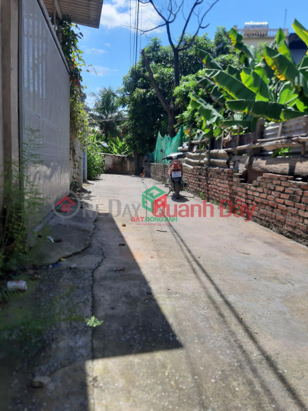 Property Search Vietnam | OneDay | Residential Sales Listings, Selling land Xuan Canh 3m lane, near the foot of Tu Lien bridge