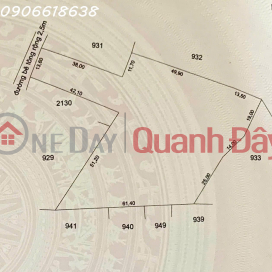 Bán đất CLN 3834m2 ở Ấp Miễu Hội, Xã Thạnh Phú, Châu Thành, Tiền Giang, 5,9 tỷ _0