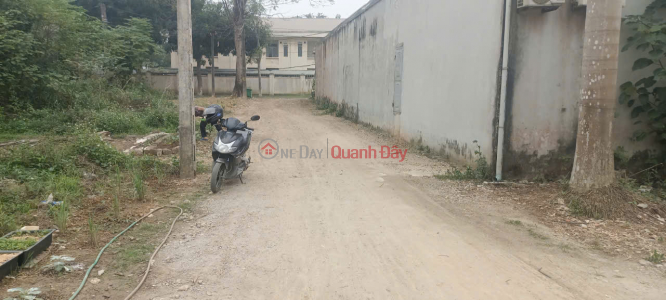 I am the owner and I need to sell two plots of land in Xuan Long, Xuan Mai, Hanoi - Beautiful location - Close to schools and markets. Vietnam Sales | đ 1.9 Billion