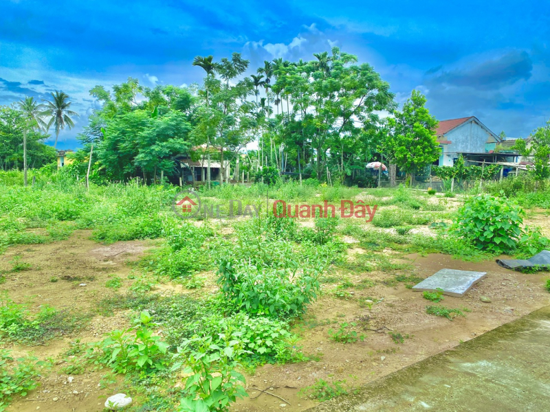 Near Area 605, bordering Hoa Tien, need to sell 113m2 lot at cheap price, contact now, Vietnam | Sales đ 500 Million