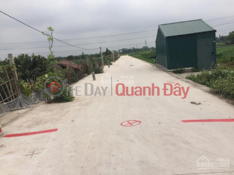 Stuck for quick sale of 124m2 of land Quat Dong, Thuong Tin, investment price. _0