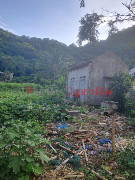 HOT HOT - NEED TO SELL A LOT OF LAND IN A BEAUTIFUL LOCATION IN Thach Tuong Commune - Thach Thanh District - Thanh Hoa Province, Vietnam | Sales, đ 2 Billion