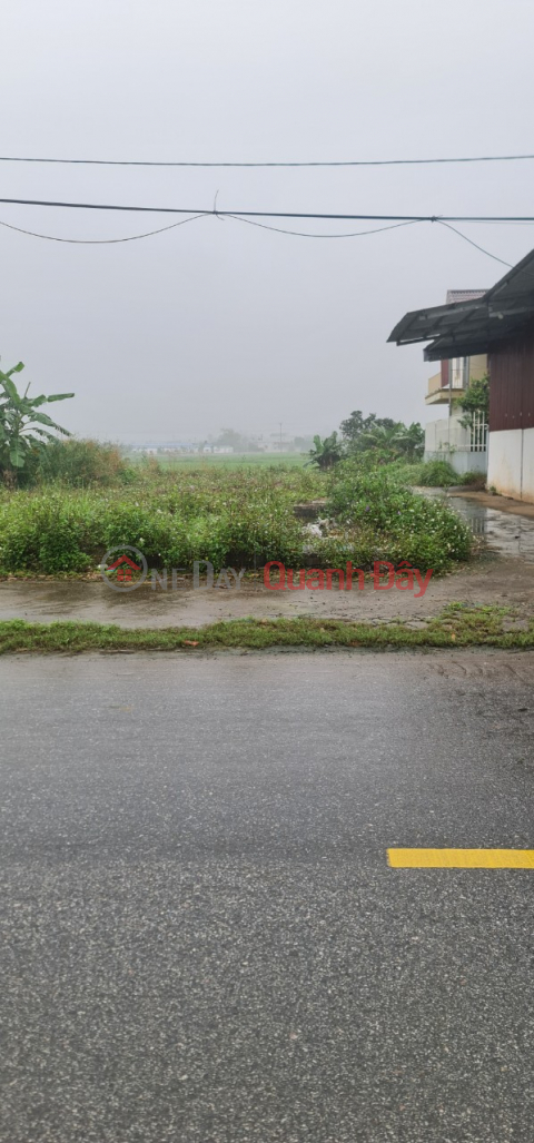 Selling 13 Lots of Land on the Road in Minh Hoa Commune, Hung Ha, Thai Binh _0