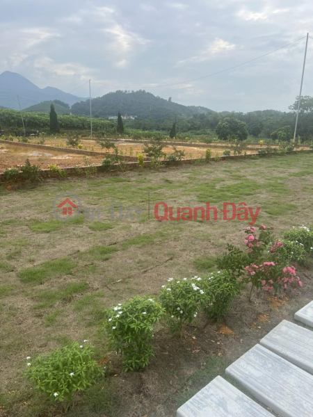 Property Search Vietnam | OneDay | Residential | Sales Listings, BEAUTIFUL LAND - GOOD PRICE - OWNER NEEDS TO SELL BEAUTIFUL LAND URGENTLY IN Hoa Lac Hi-Tech Park