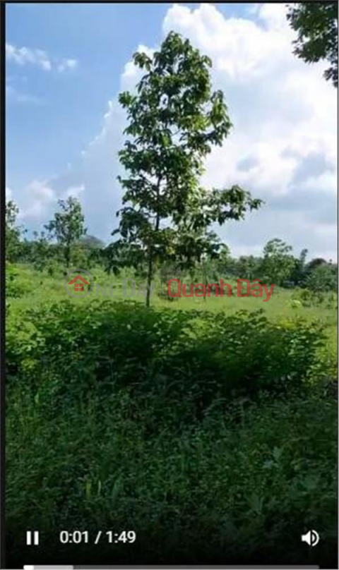 LAND FOR SALE BY OWNER - GOOD PRICE In Trung Hoa Commune, Trang Bom District - Dong Nai _0