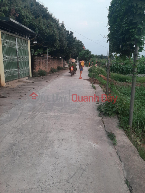 Selling land for a level 4 house in Yen Nghia, Ha Dong _0