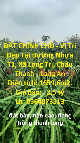 ĐẤT CHÍNH CHỦ - Vị Trí Đẹp Tại Đường Nhựa T1, Xã Long Trì, Châu Thành - Long An Niêm yết bán