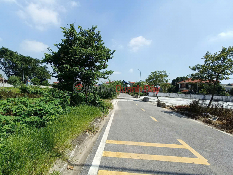 Property Search Vietnam | OneDay | Residential | Sales Listings, Land for sale, very nice location, right next to Vinhomes Ocean Park 2, divided into lots for car parking